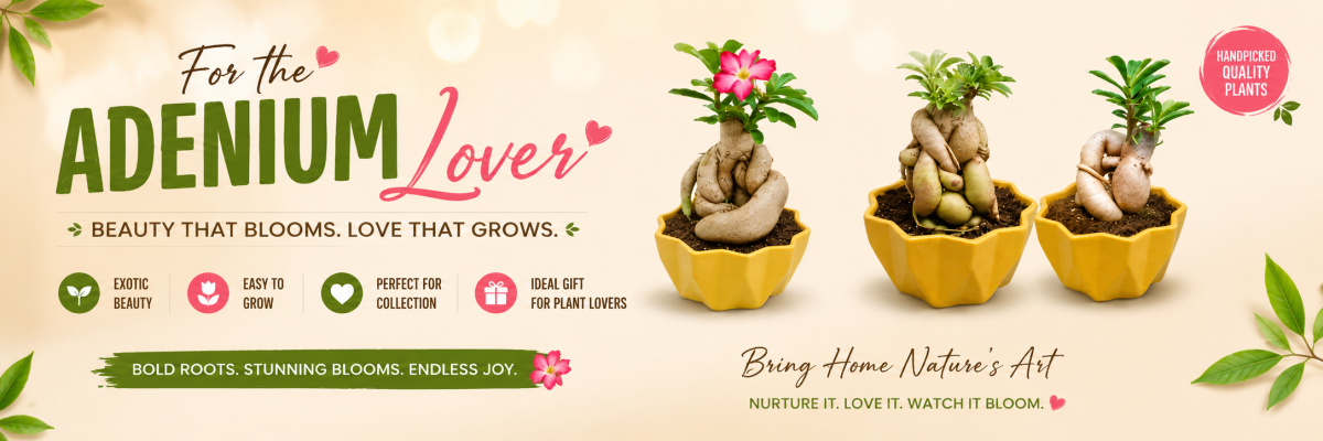 Garden accessories 