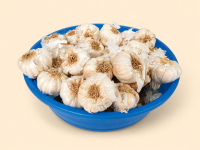 Premium Fresh White Garlic Bulbs in Blue Bowl – Farm Fresh Natural Garlic